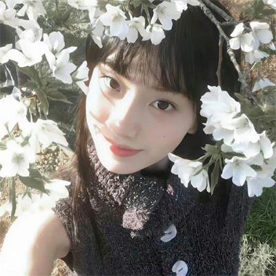 红粉侦探